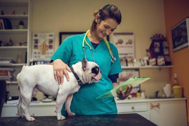 Veterinary